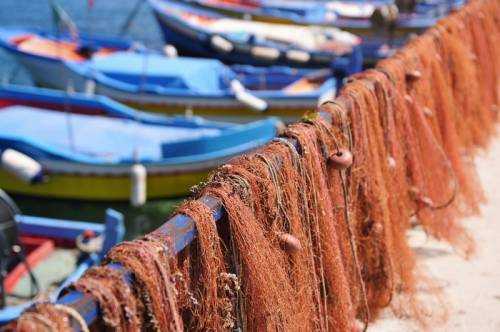 Abate, Barbuto, Corrado: Regione Calabria sbloccare royalties ai pescatori dell'area jonica