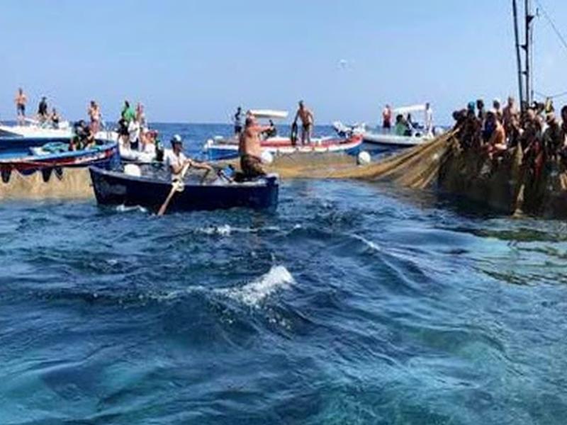 Pesca tonno rosso: cresce la quota riservata ai pescatori calabresi