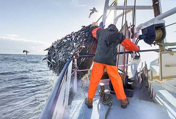 Giornata Oceani: Wwf, sos Mediterraneo, solo 1,2% protetto