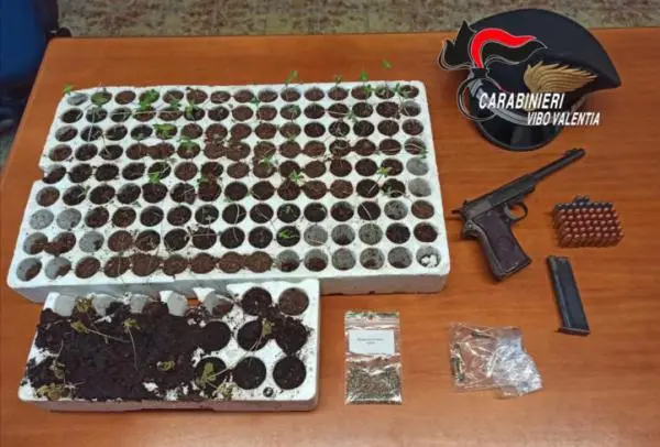 Armi: trovato con una pistola e munizioni e marijuana, arrestato. Operazione Cc nel reggino