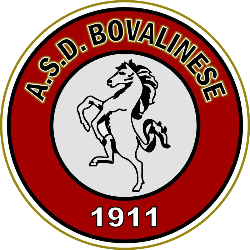 E’ deciso. Asd San Luca in serie D e Asd Bovalinese ancora in Eccellenza!