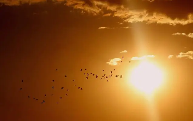 Meteo: boom caldo con temperature a 35°C. Ecco le previsioni su Nord, Centro, Sud e Isole