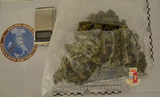 Droga: sorpreso con marijuana e bilancino, arrestato 19enne di Catanzaro