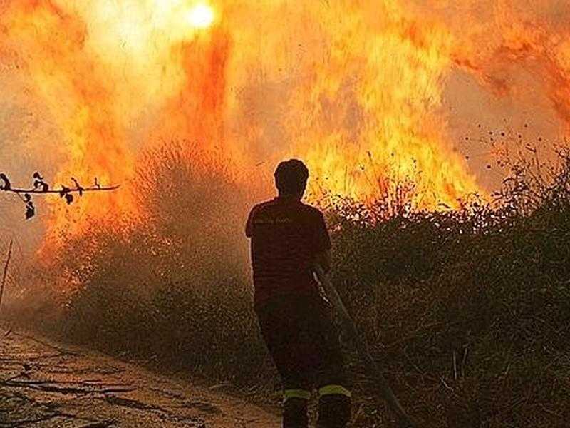 Incenndi: convenzione tra vigili del fuoco e Calabria verde