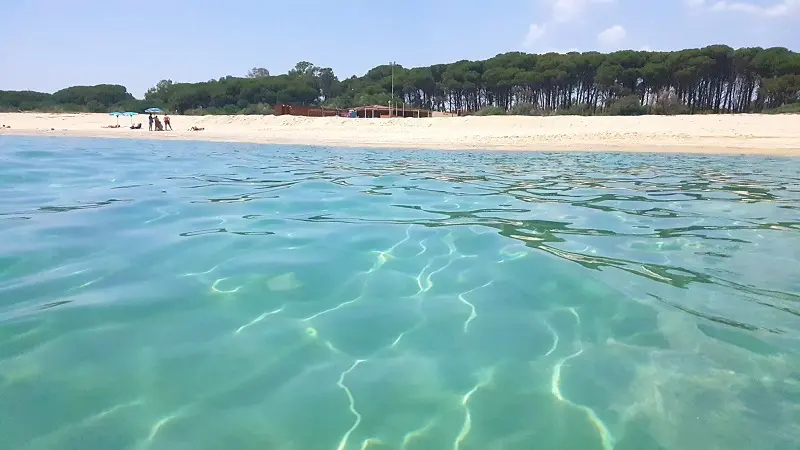 Sellia Marina. Nasce “la Costa dei Gigli”: buone pratiche amministrative e naturalistiche nello Joni