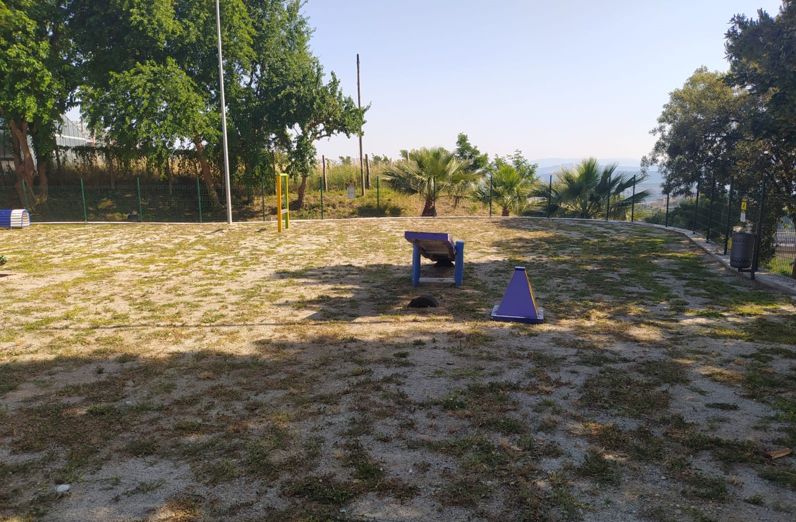 Catanzaro. Abramo e Traversa: Aperta l’area di sgambamento cani al parco della biodiversità. Foto