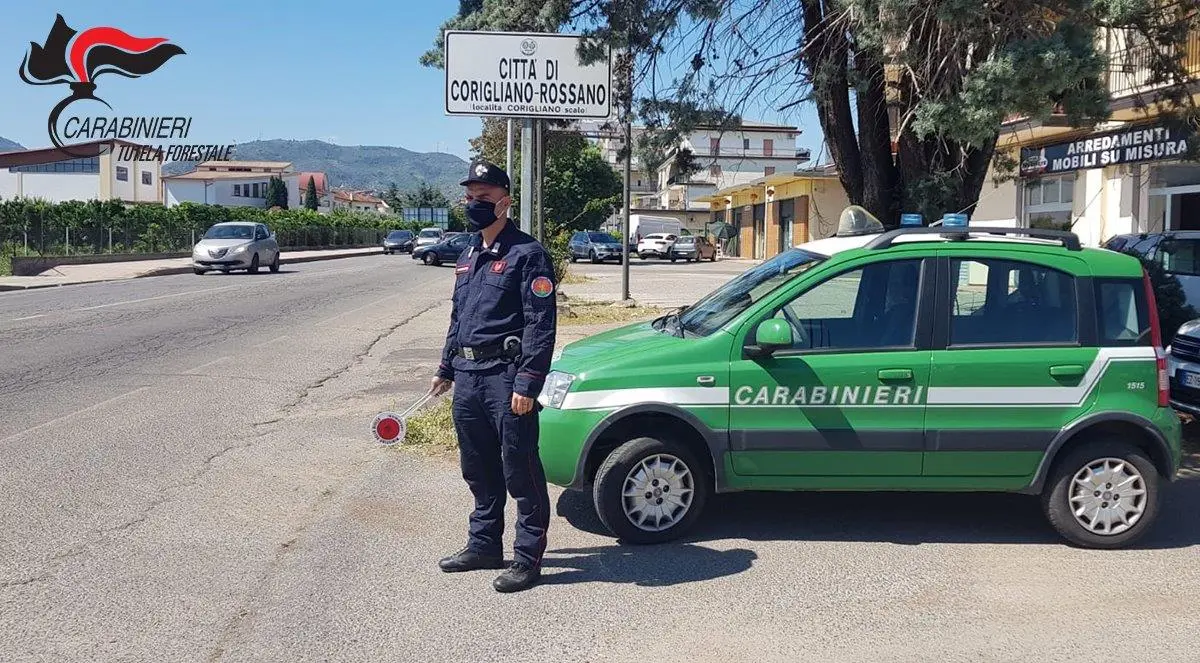 Area urbana di Corigliano. Abusivismo edilizio. Sequestri e denunce