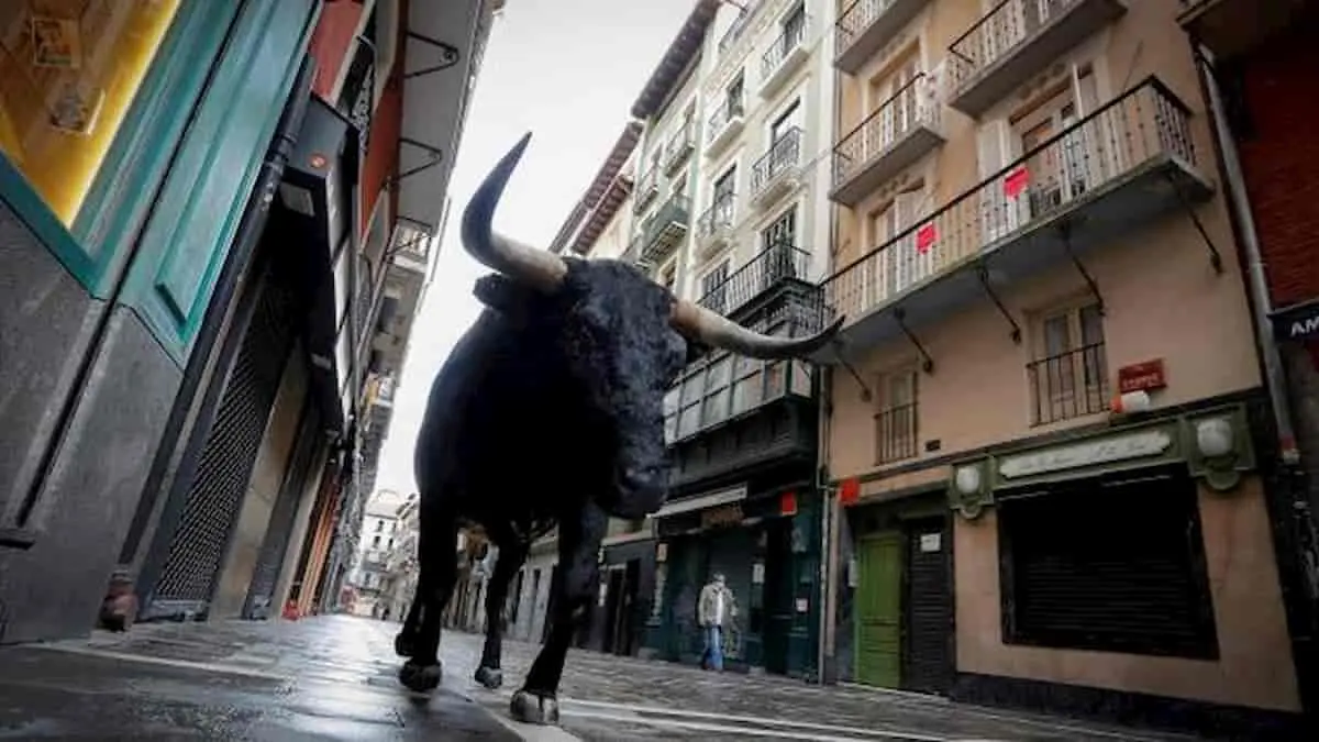 Toro fugge da Circo e semina panico in strade Reggio Calabria, abbattuto