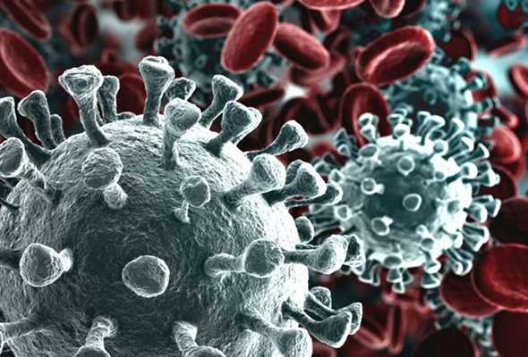 Virologo David. Coronavirus: super anticorpi contro la pandemia. In attesa del vaccino