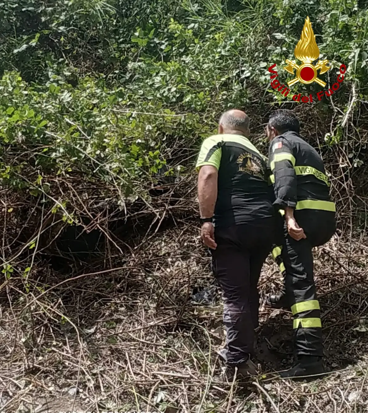 Trovato l'operaio Anas, scomparso nel cosentino. I Vvf trovano il cadavere nel viadotto della Morte