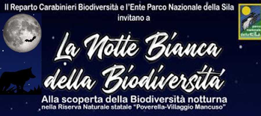'Notte bianca Biodiversità' in Sila promossa dai Carabinieri