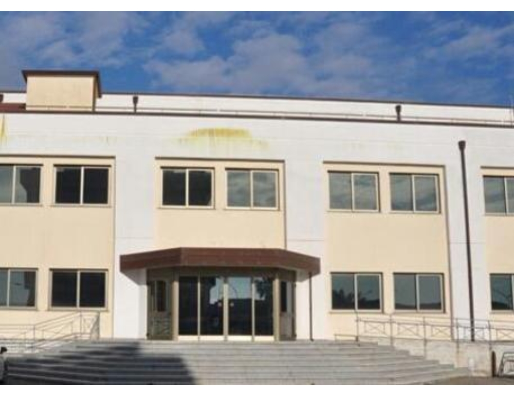 Consigliere comune Lamezia, chiesto bonus, zero introiti. Non mi vergogno, faccio l'avvocato