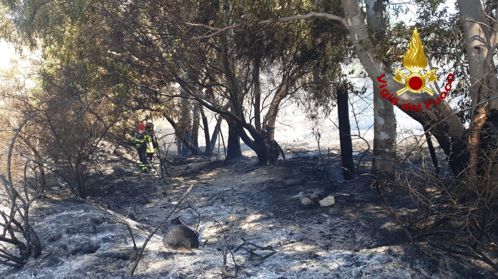 Vasto incendio vicino abitazione a Sellia Marina sul posto i VVF. Foto