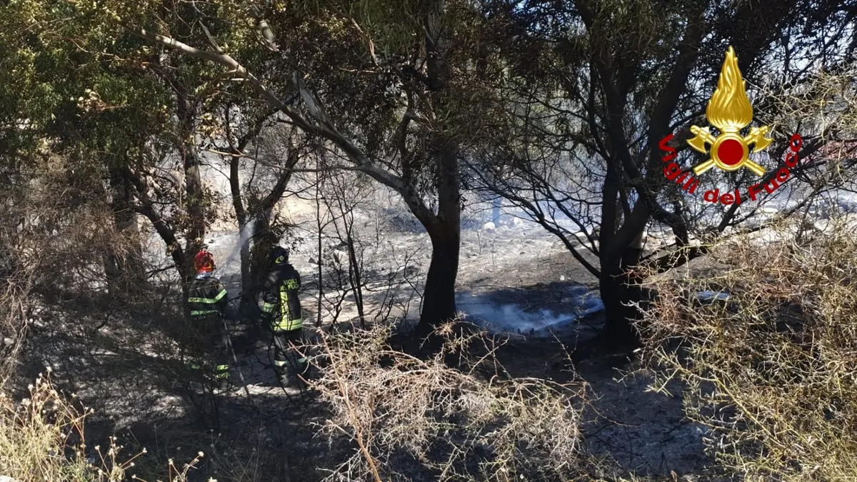 Vasto incendio vicino abitazione a Sellia Marina sul posto i VVF. Foto