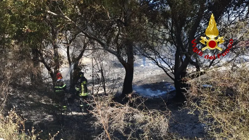 Vasto incendio vicino abitazione a Sellia Marina sul posto i VVF. Foto