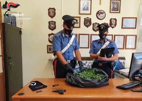 Droga: tenta sfuggire all'alt, aveva in auto 14 Kg marijuana