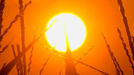 Meteo: Ancora un Blitz dell’anticiclone africano, temperature fino a 42 gradi. Ecco le previsioni