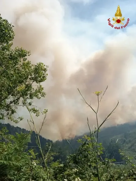 Canadair e squadre VVF per domare due grossi roghi nel catanzarese (Foto e Video)