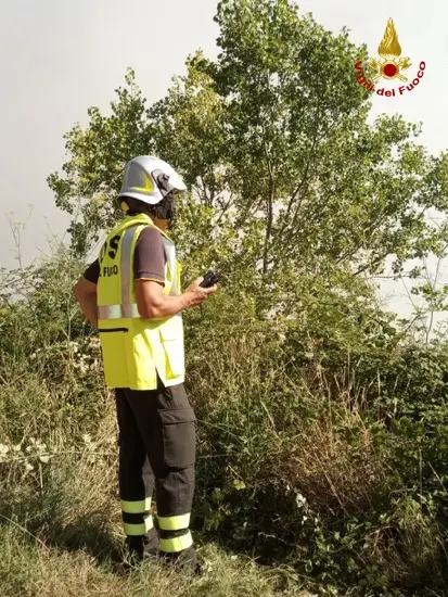 Canadair e squadre VVF per domare due grossi roghi nel catanzarese (Foto e Video)