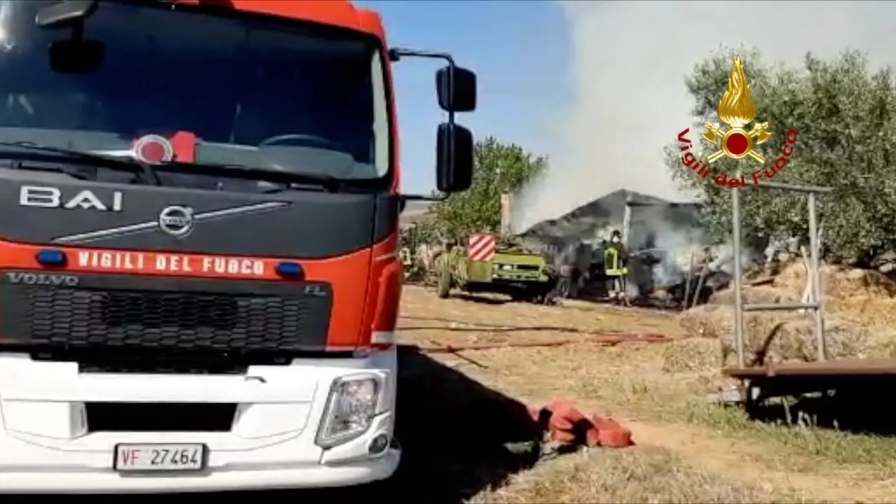 Montalto Uffugo: Rogo devasta azienda agricola intervento dei Vvf e Cc. Video