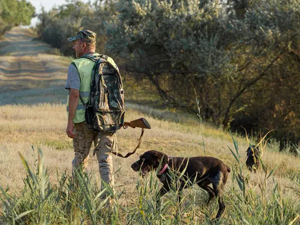 Calendario Venatorio: Prenderà il via domani la stagione della caccia ecco tutti i dettagli