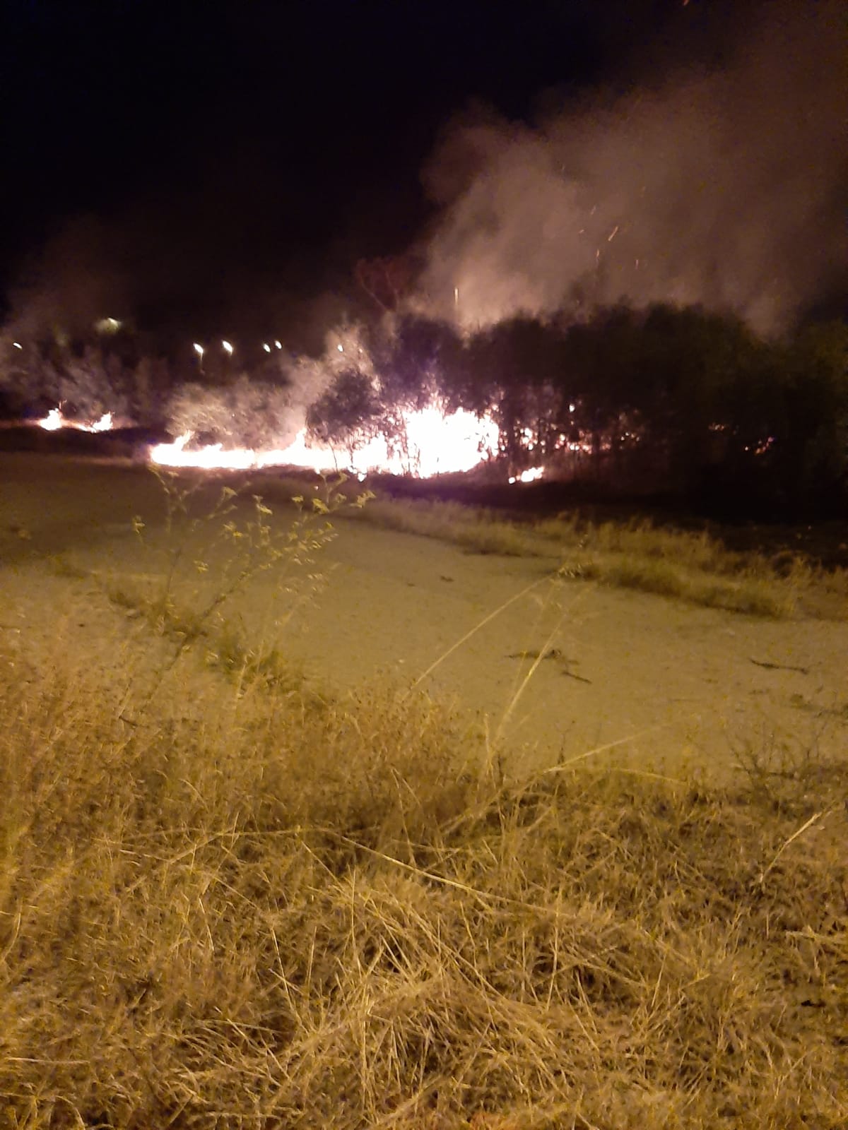 Incendio doloso nei pressi di archeoderi, dura condanna del sindaco di Bova Marina Zavettieri