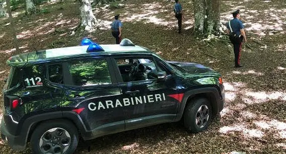 Incidenti lavoro: Disgrazia, uomo in un castagneto cade da albero durante potatura, morto