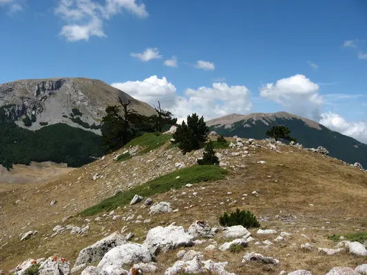 Accendono fuochi all'interno del Parco Pollino, sanzionati turisti