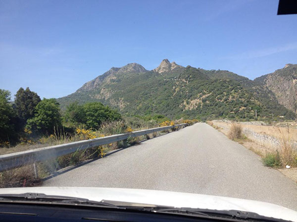 Francesco Sicari: La Contessina di Casalnuovo