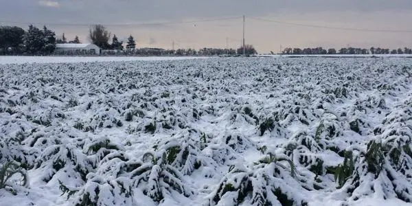 Maltempo: Coldiretti, triplicano tempeste di fine settembre