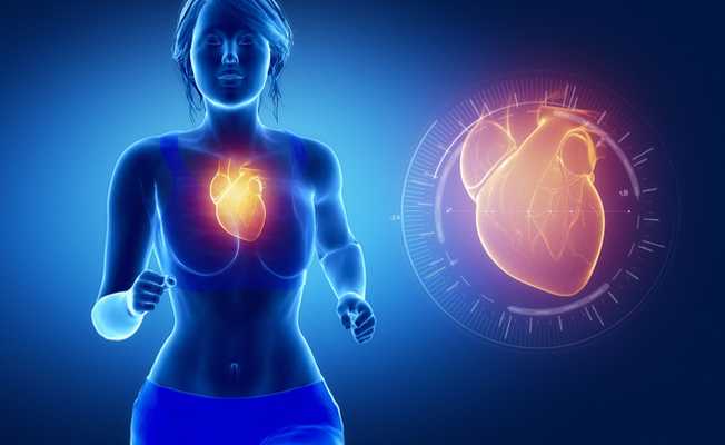 Esercizio fisico: ecco come risponde il cuore