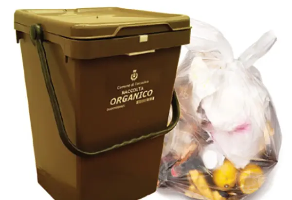 Catanzaro. domani, 15 ottobre, non verrà eseguito il ritiro della frazione organica