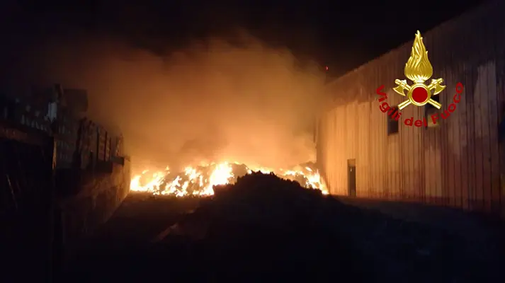 Catanzaro. Squillace Fiamme presso la ditta Ecomanagement sul posto i Vvf. Video