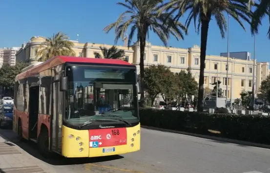 Catanzaro. I servizi aggiuntivi messi a disposizione dall'Amc. Il dettaglio