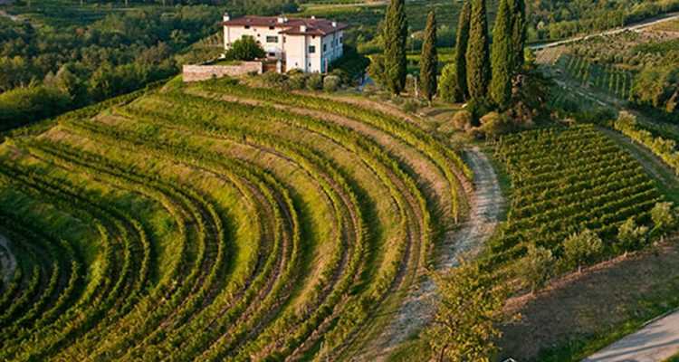 Europa-Regioni: il 'Friuli' diventa vino Dop