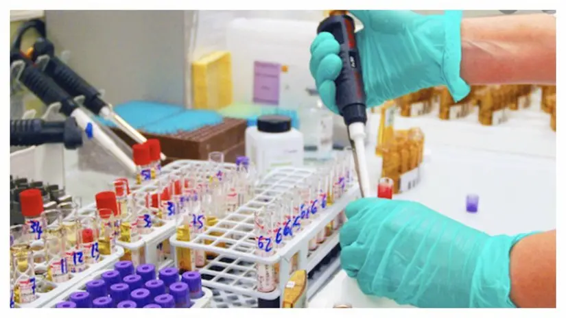 Test anti-Covid abusivi, sanzioni per 145mila euro