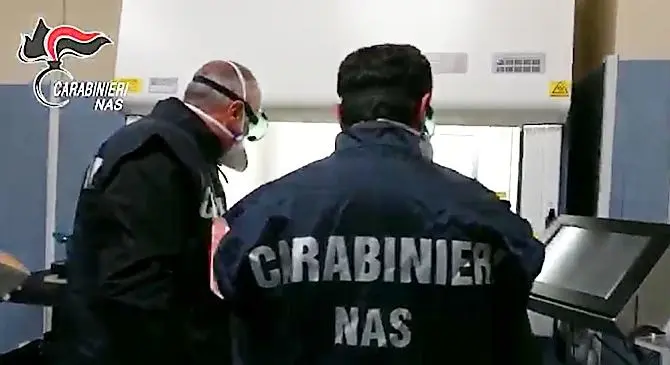 Calabria. Animali macellati senza controlli sanitari, 6 arresti.