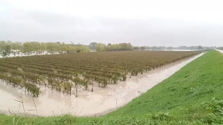 Maltempo: Coldiretti, sale conto danni campi,14mld in 10 anni. Mix cambiamento climatico e abbandono