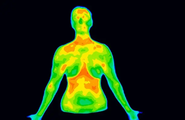 Salute. Scoperta proteina chiave per diagnosi precoce tumore seno