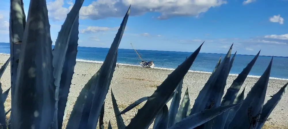 All'alba sbarco di 32 migranti sulla spiaggia di Bovalino