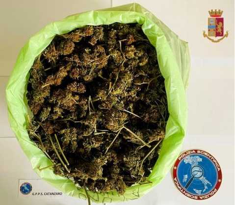La Polizia arresta a Catanzaro un 44enne trovato in possesso di oltre 700 grammi di marijuana.