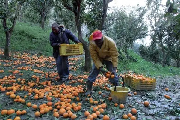 Lavoro irregolare, denunciati 2 imprenditori nel Reggino