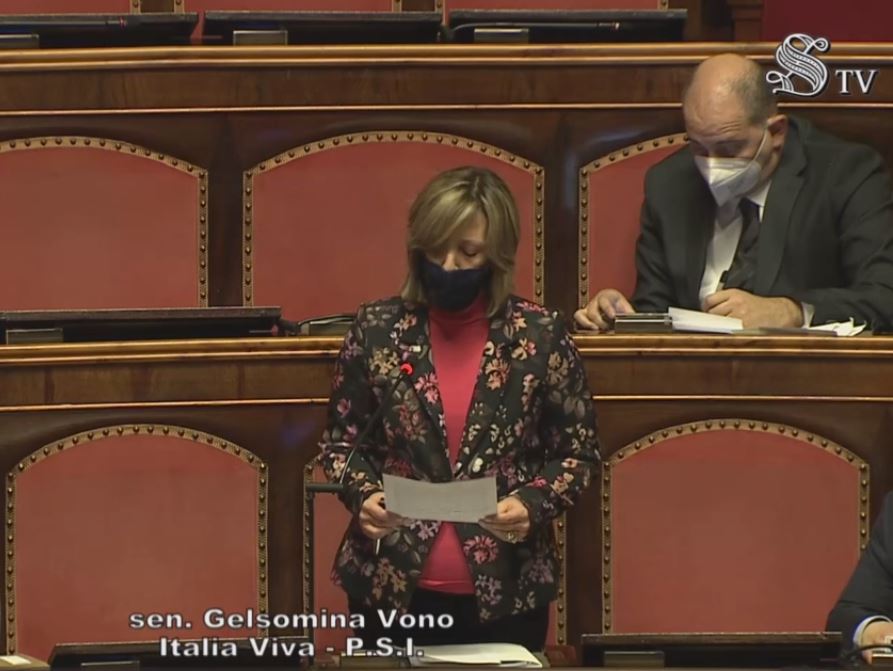 Intervento di oggi al Senato  della Senatrice Silvia Vono. I dettagli