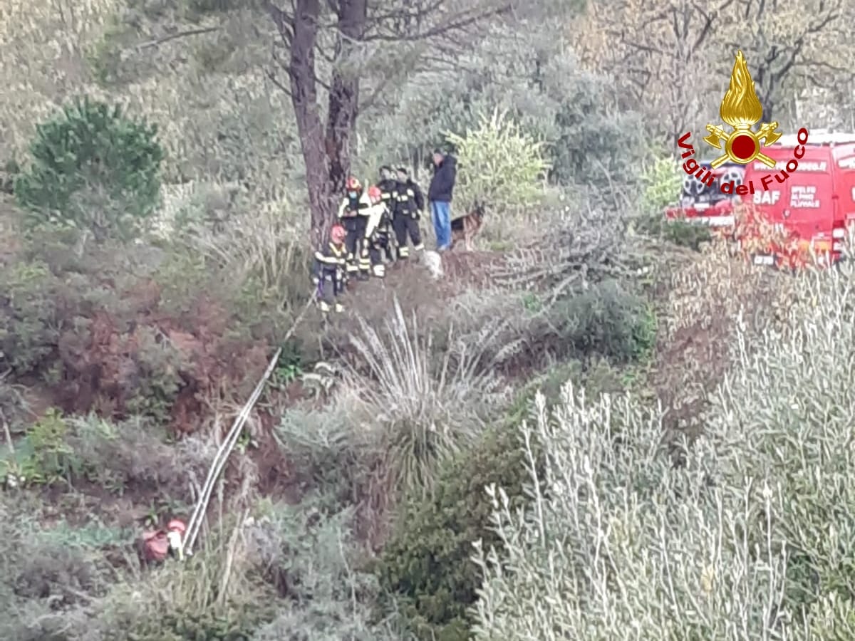 Nel catanzarese, cavallo attaccato da cinghiali precipita in scarpata, salvato dai Vvf. Foto