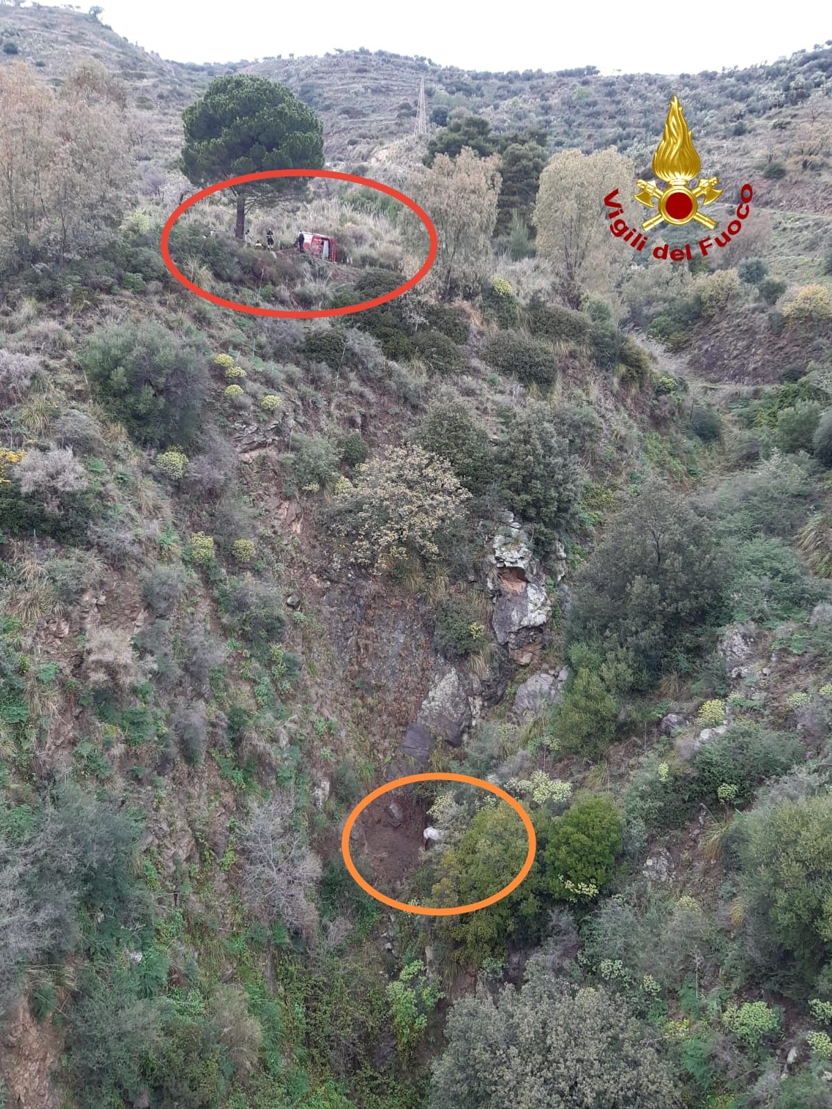 Nel catanzarese, cavallo attaccato da cinghiali precipita in scarpata, salvato dai Vvf. Foto