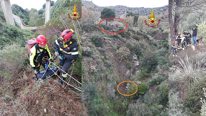 Nel catanzarese, cavallo attaccato da cinghiali precipita in scarpata, salvato dai Vvf. Foto