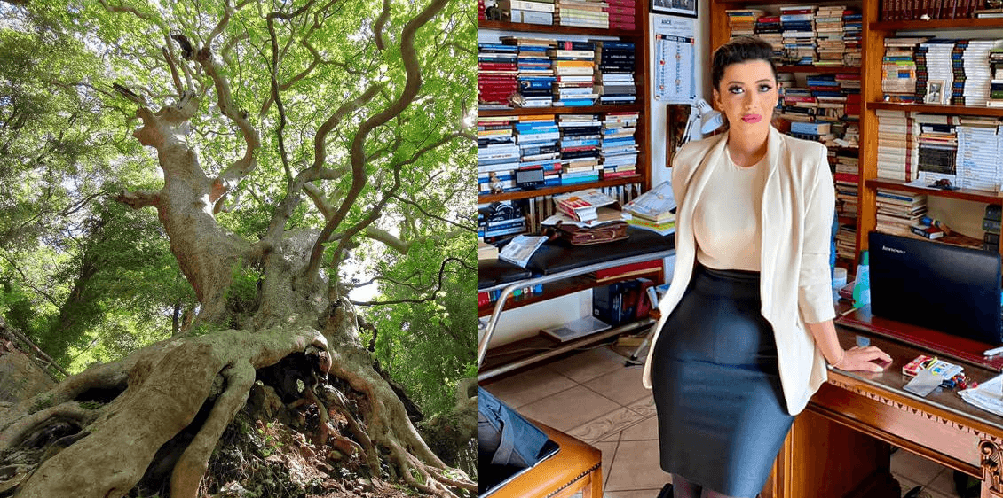 L’amore della docente Palma Serrao per la sua terra e il contributo all'European Tree of the Year 21