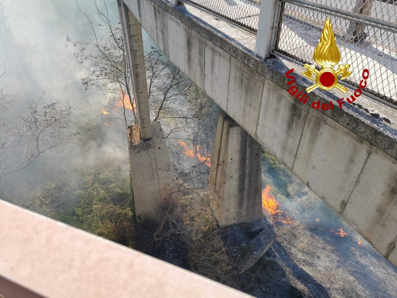 Catanzaro, divampato incendio sotto ponte Bisantis ex Morandi. Intervento dei Vvf