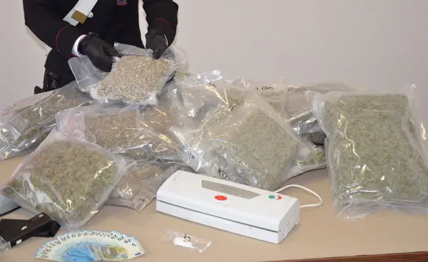 Droga: oltre 14 kg di marijuana trovati dai Cc nel Reggino