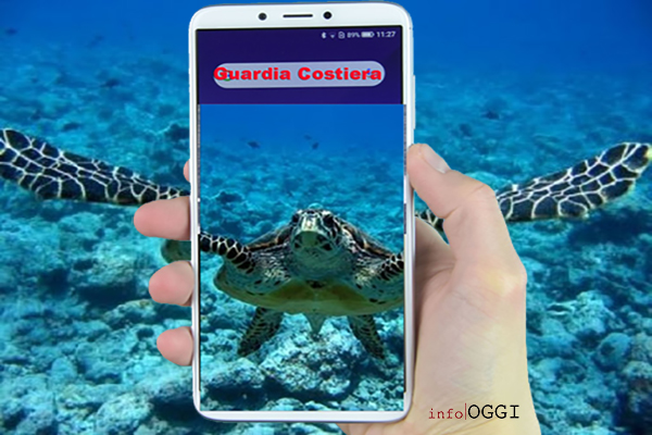 Giornata mare: Guardia Costiera, arriva app per avvistamenti di specie marine.